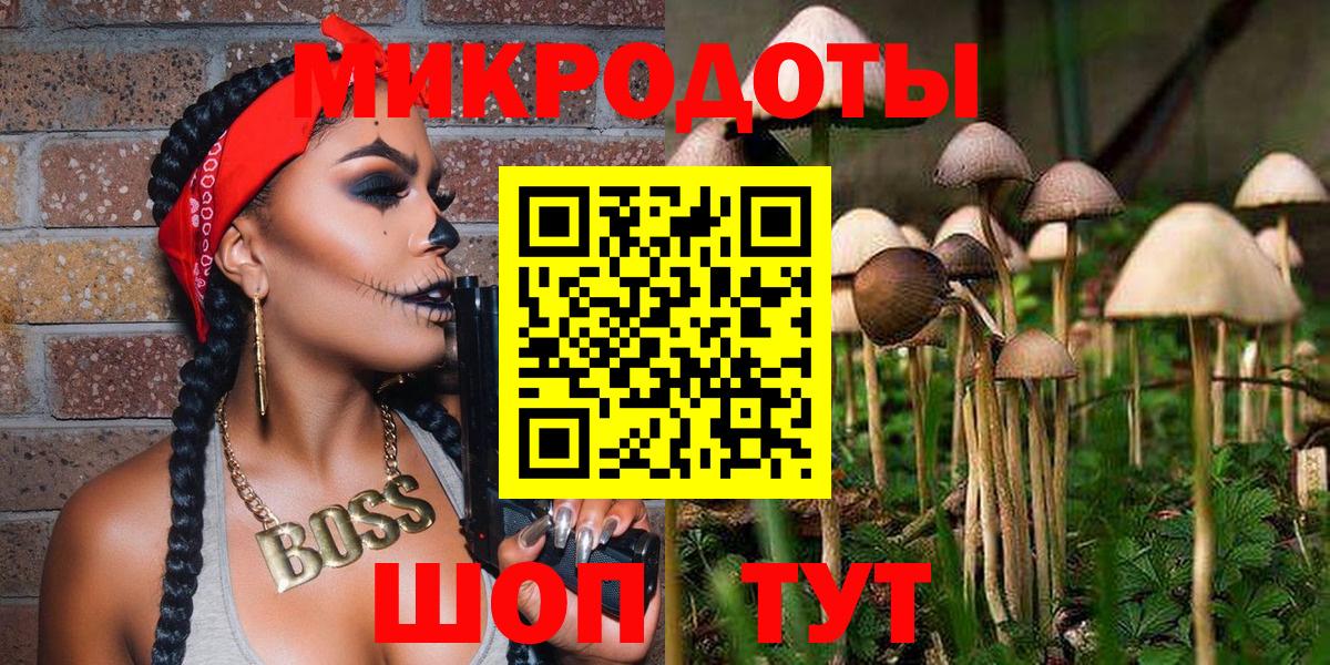 Псилоцибиновые грибы Psilocybine cubensis  Псилоцибиновые грибы мицелий  сколько стоит  Ишим  Вход с VPN 