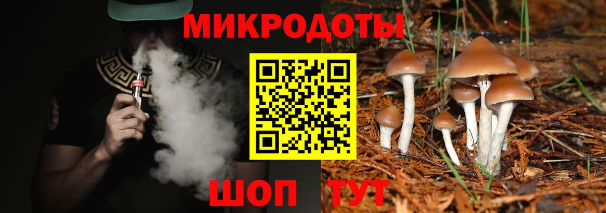 Псилоцибиновые грибы мухоморы Ишим